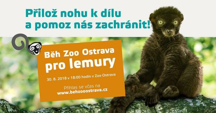 Běh Zoo Ostrava pro lemury