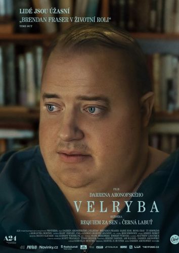 KI/n.O Bystřice:  Velryba