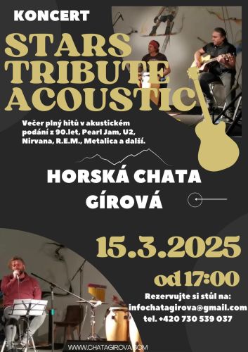 STARS TRIBUTE ACOUSTIC