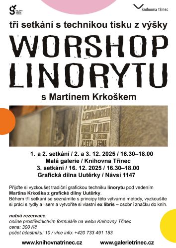 Workshop linorytu